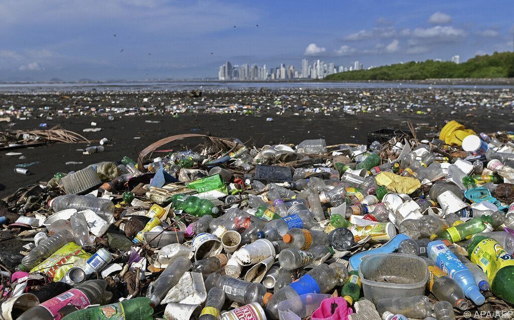 Plastikmüll sammelt sich in Küstennähe