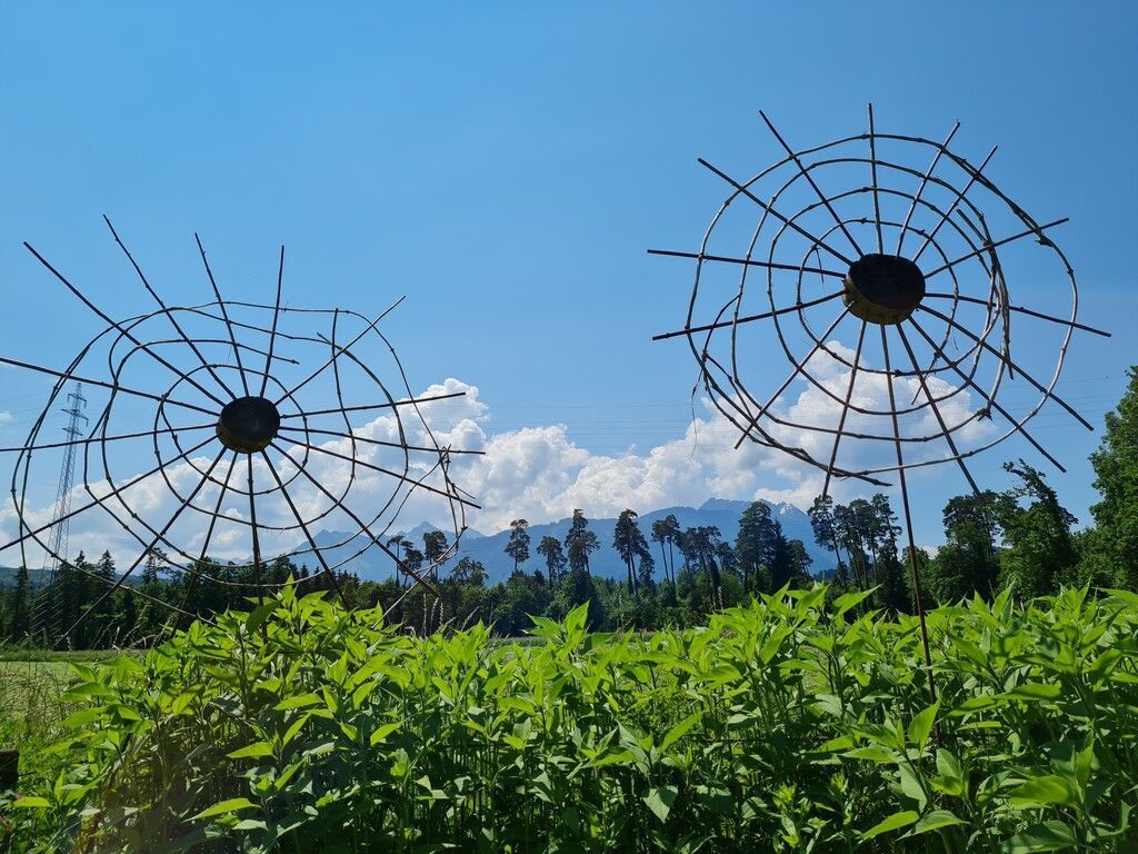 Bewertungen Zu Aok Rheinlandhamburg Lesen Sie