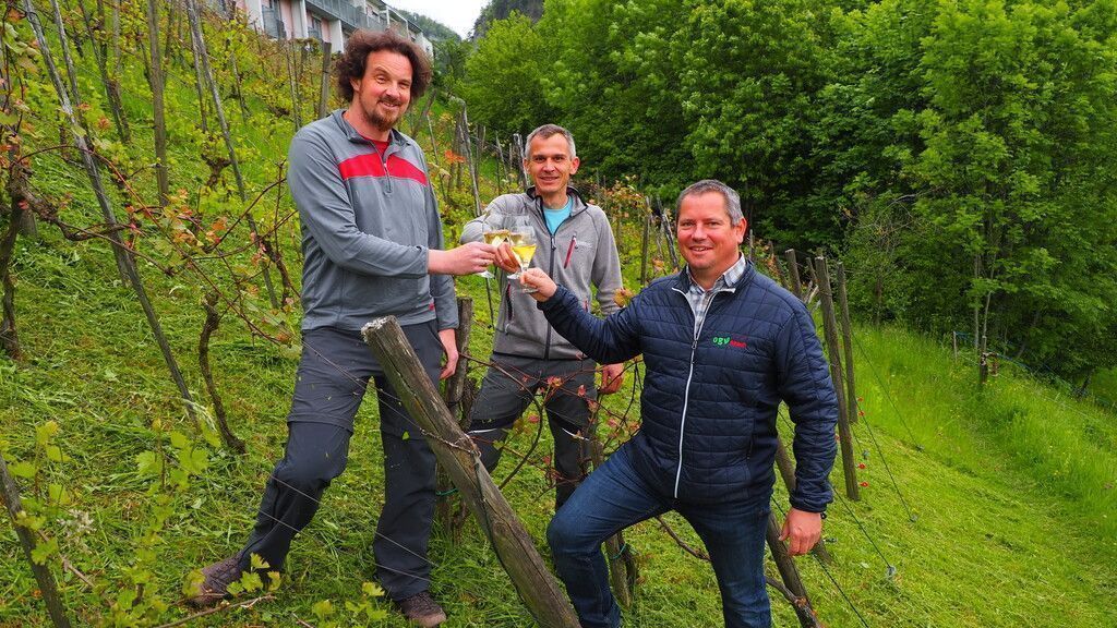 Feinster Rebensaft von der Rütte