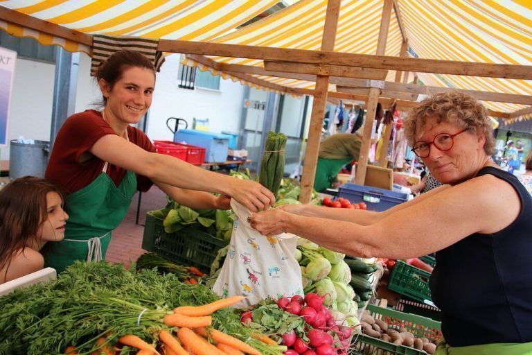 <p class="caption">Stets begehrt bei zahlreichen Marktbesuchern: frisches Obst und Gemüse vom Klostergarten Marienberg.<span class="copyright"> wam/5</span></p><p class="caption"/>
