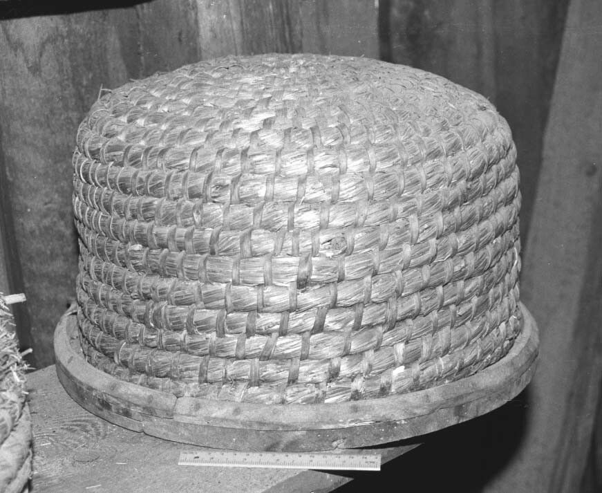 Wunderwelt der Bienen