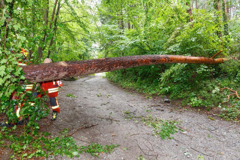 Sturm sorgte für 58 Einsätze