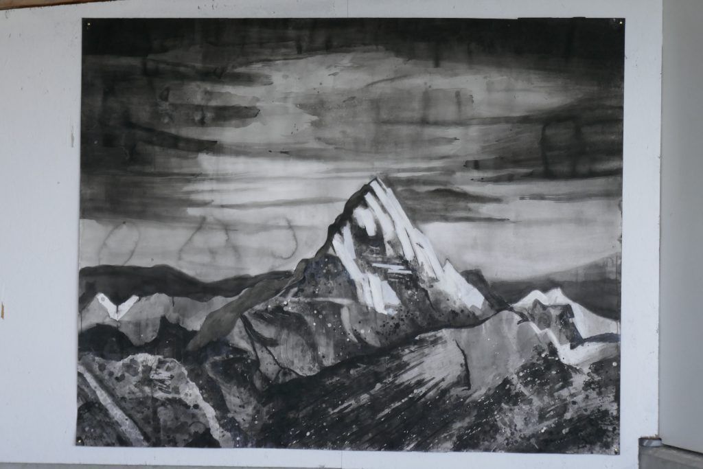 Höhenkoller unter der Pfänderspitze