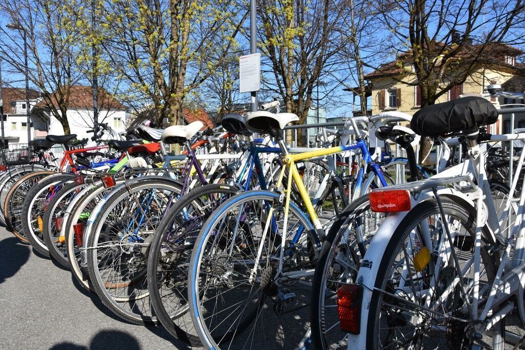 Fahrradmarkt vor der Viehhalle