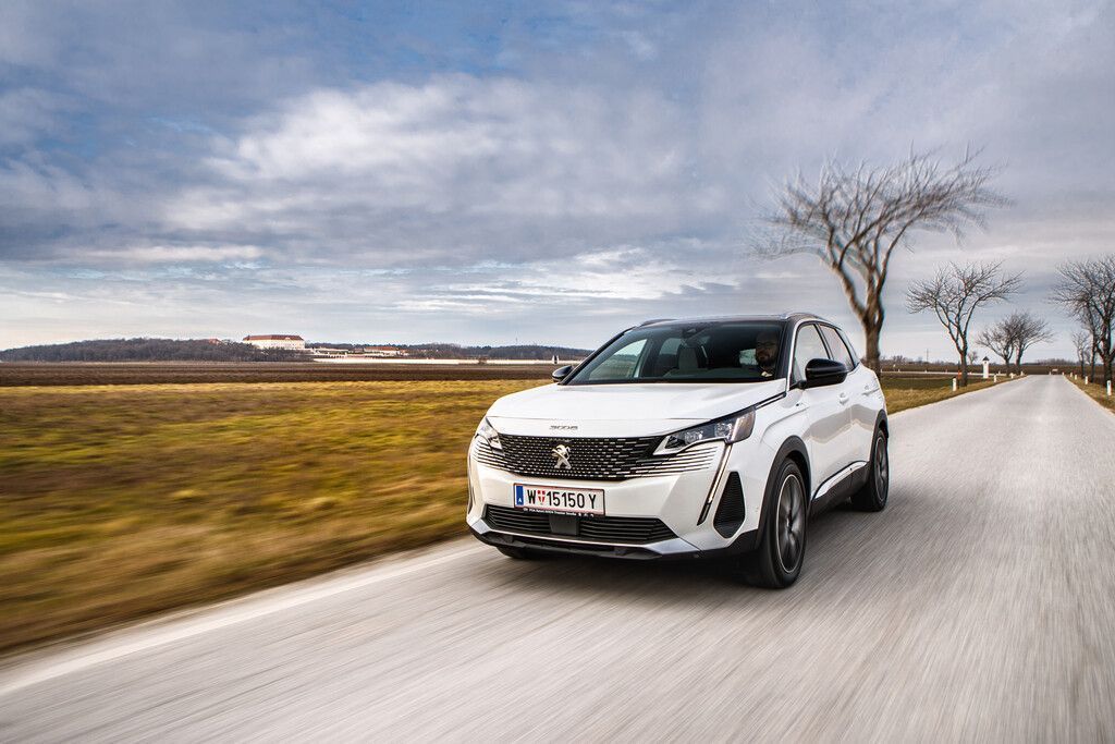 Frisch geschneuzt und gestriegelt