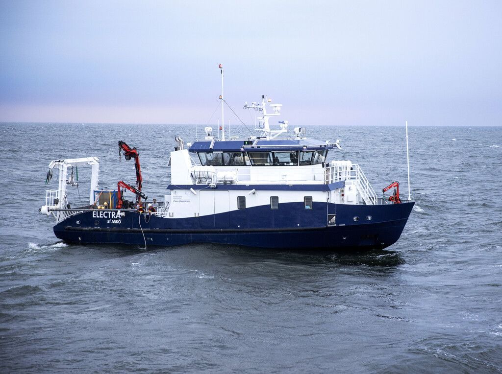 Wrack der &#8220;Estonia&#8221; wird untersucht