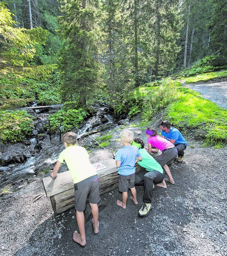 der familienberg pizol ist viel mehr als wandern 
            Nur knapp eine Stunde ab Bregenz eröffnen die Pizolbahnen bei Bad Ragaz (Schweiz) einzigartige Erlebnisse. Auf dem Heidipfad gilt es unter anderem Peters Geißen zu finden. Auf dem MounTeens Detektiv-Weg warten spannende Rätsel darauf, gelöst zu werden. Bereits in der Gondelbahn lernt man die MounTeens kennen, diese helfen, den Fall „Der Berggeist vom Pizol“ zu lösen. Und im Wasserwald gibt es zum Thema Wasser viel zu entdecken.