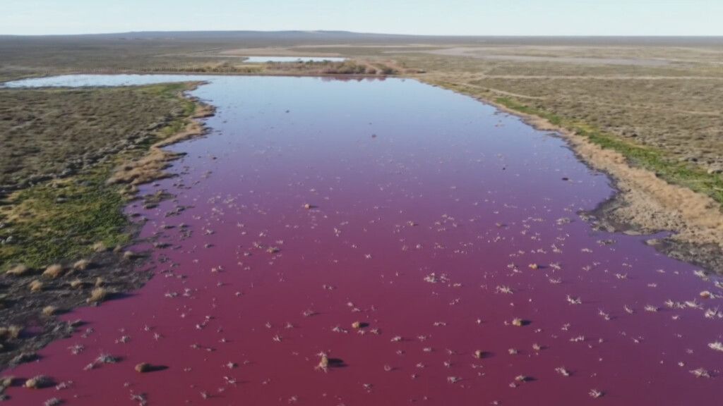 Chemieabfälle färben Lagune pink