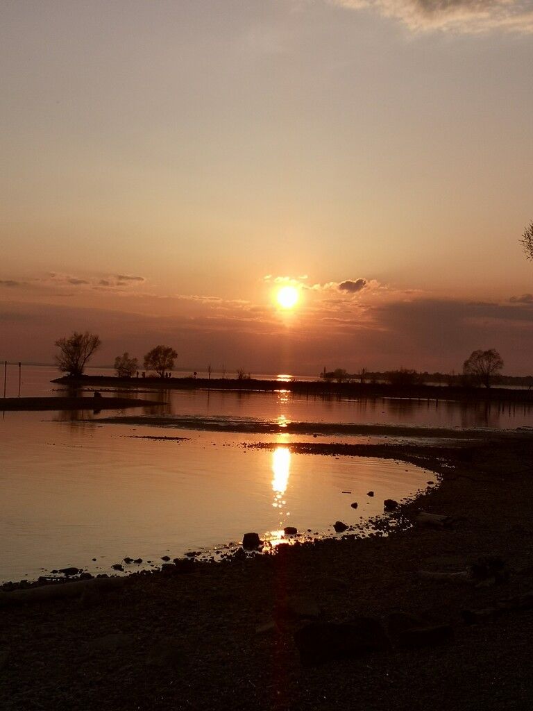 Ihr Foto in den VN