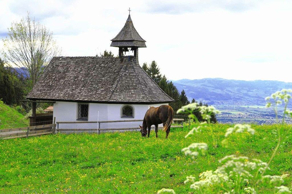 VN-Leserfotos.Ihr Bild in der VN-Heimat