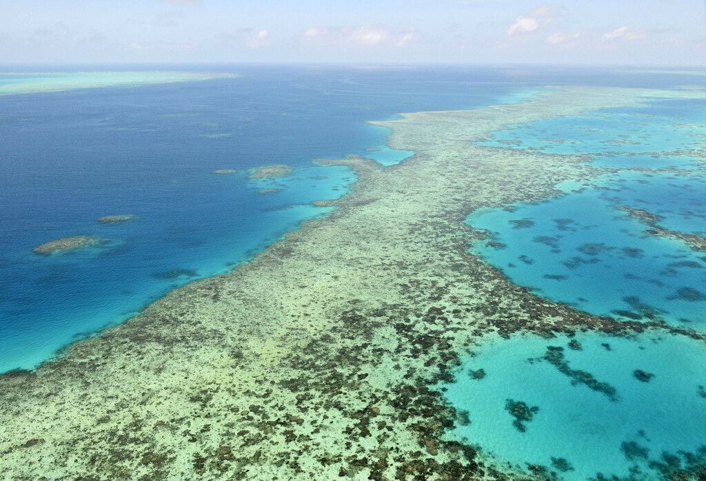 Great Barrier Reef soll auf Rote Liste gesetzt werden