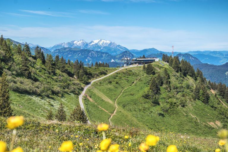 von bezau aus in die Höhe gondeln und die natur genießen 
            Von der Sonne verwöhnt werden und dem Genuss frönen, Gipfel bezwingen oder gemütlich wandern, schlendern und flanieren und das alles mit besten Aussichten - dies ermöglicht eine Fahrt mit der Seilbahn von der Talstation in Bezau über die Mittelstation Sonderdach bis zur Bergstation Baumgarten/Niedere. Beeindruckend thront das Panoramarestaurant auf Baumgarten und lädt mit großer Sonnenterrasse und Kinderspielplatz zum Verweilen ein.