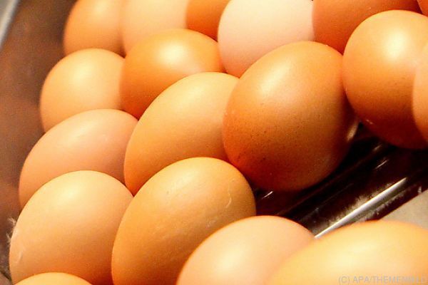 Eierproduzenten wollen Preiserhöhung um mindestens 2 Cent