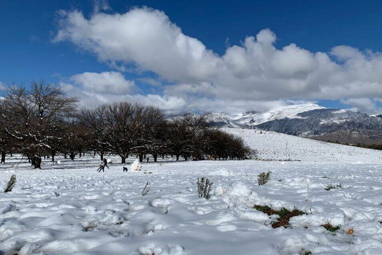 Am Westkap von Südafrika hat sich eine geschlossene Schneedecke gebildet. ap