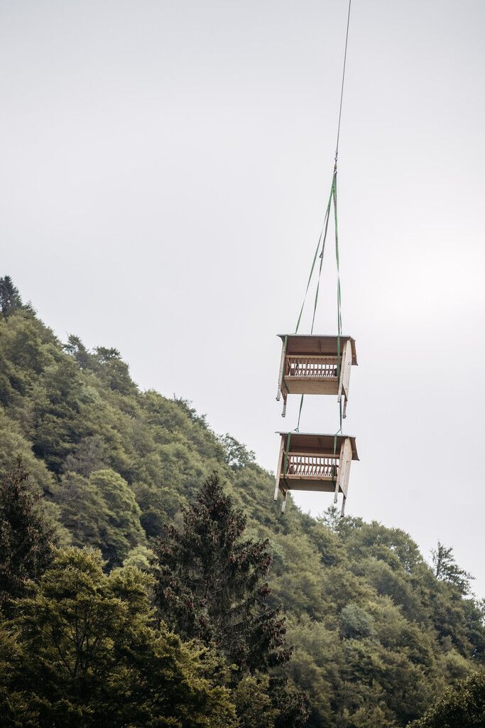 Zankapfel Wild im Mellental