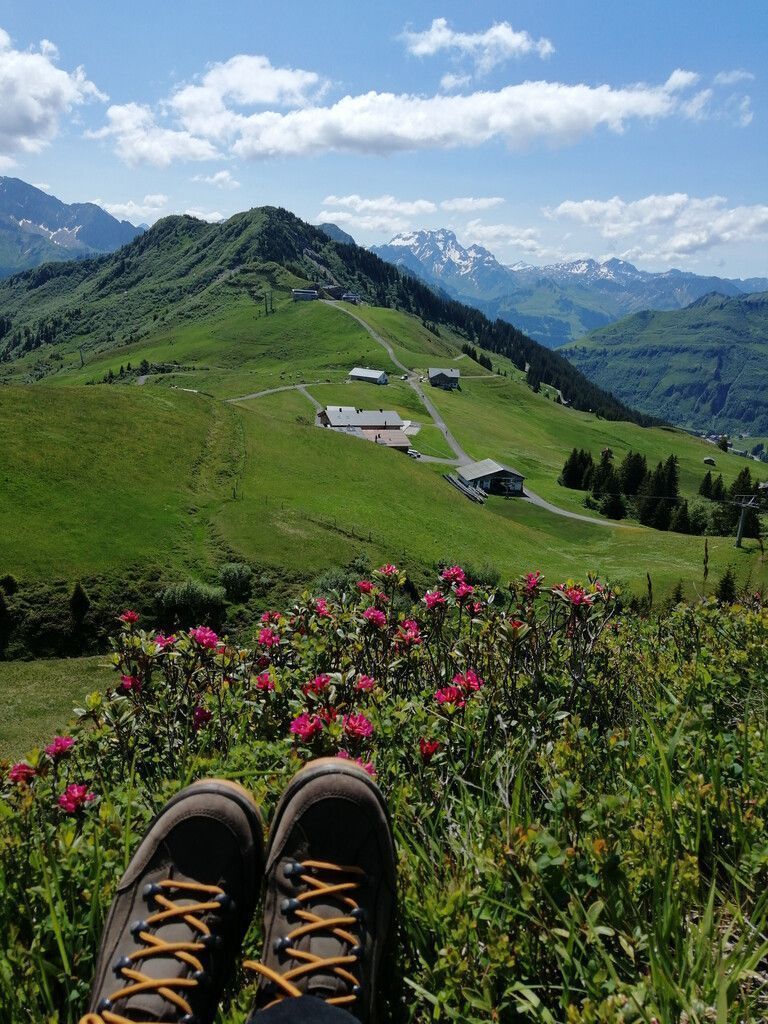 VN-Leserfotos.Ihr Bild in der VN-Heimat