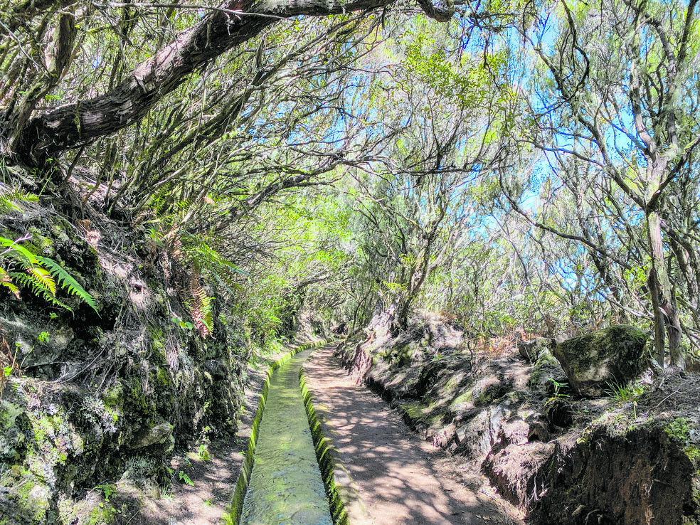 Bekannte Nachbarinsel: Madeira