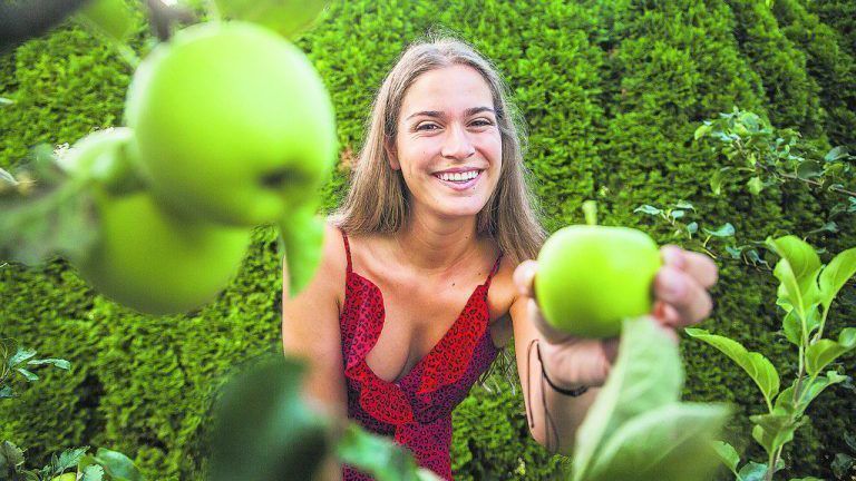 Zu viel Obst? Mit der Obstbörse vermitteln statt verrotten lassen
