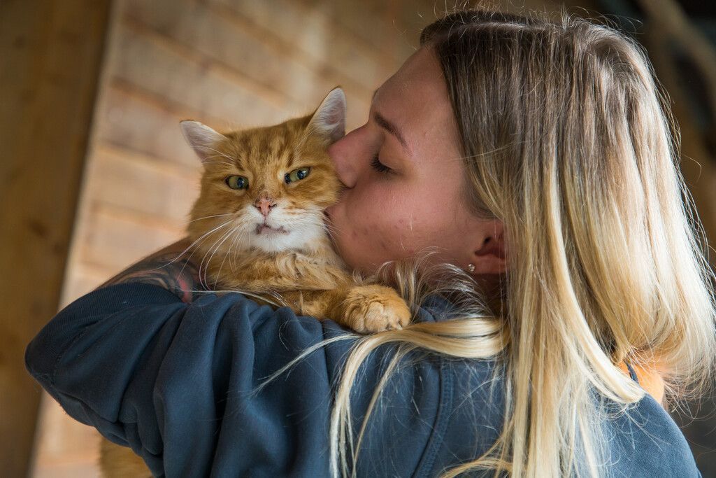 Am 8. August wird der Welttag der Katze gefeiert. »A5
