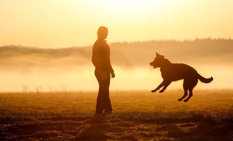 Im Morgennebel spielt eine Spaziergängerin in Daugendorf, Baden-Württemberg, mit ihrem Hund. APA/DPA