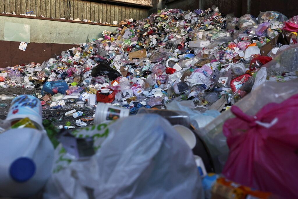 Bekämpfung von Plastikmüll mithilfe von Rindermägen