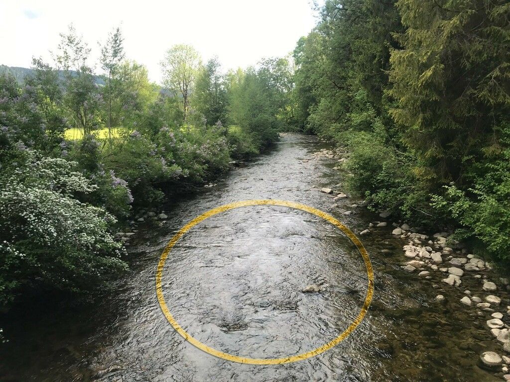 Grenzenloser Kunstweg  mit Klangband
