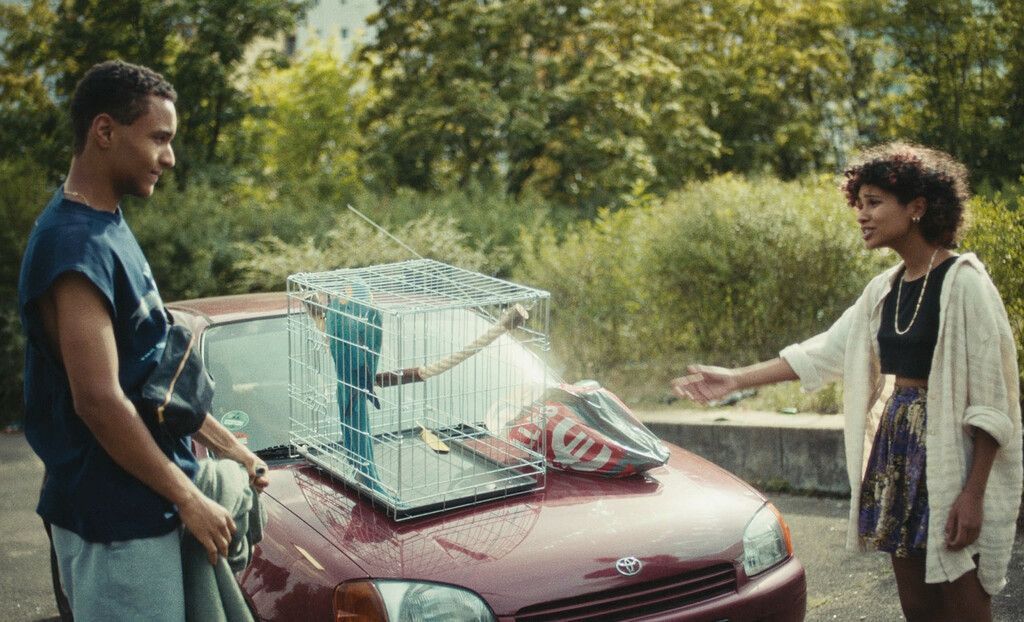 Die jungen Filmemacher haben keine Scheu