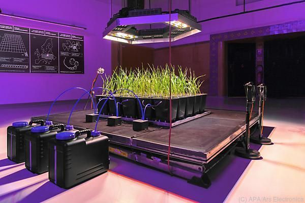 Ars-Electronica-Ausstellung konfrontiert mit Klimawandel
