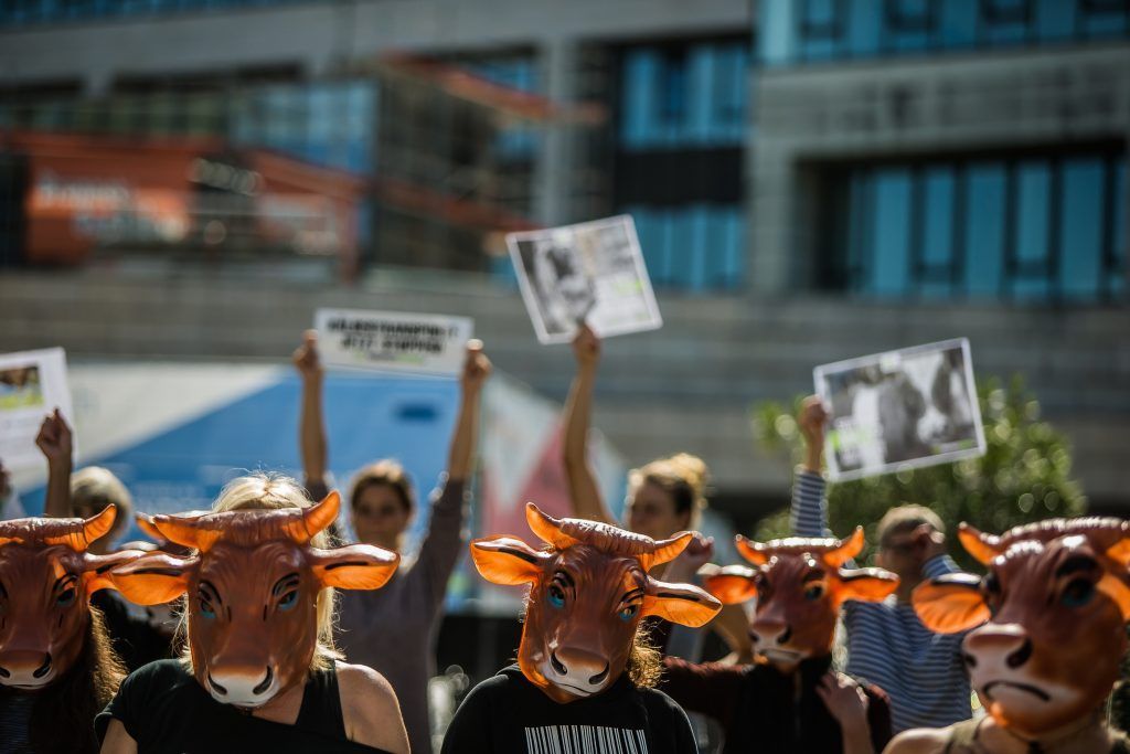 Tiertransport-Demo in Bregenz