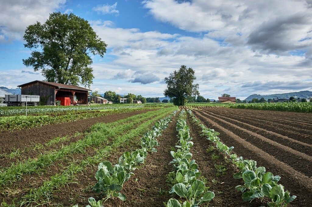BIO-Nachhaltigkeitsprogramm!