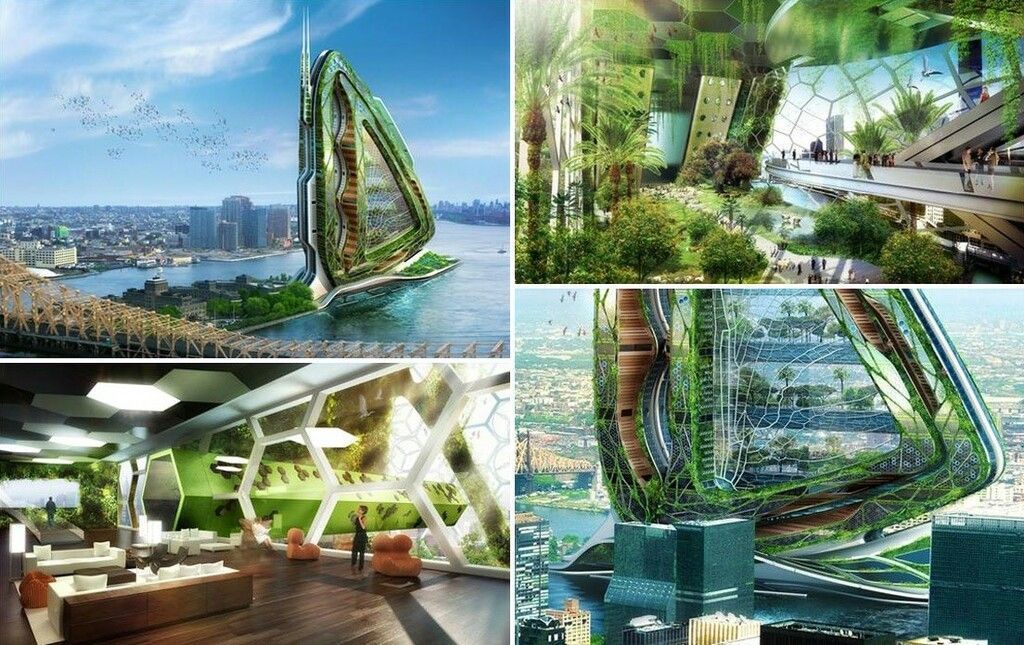 Städte werden Ökosysteme