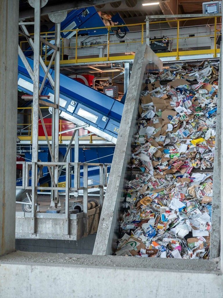Altpapier effizienter sortieren und 140 Bäume zum CO2-Ausgleich