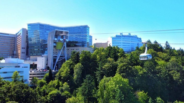 Urbane Mobilität steht für Öko-Wirtschaft