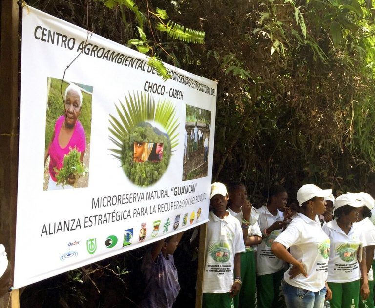 Gewässer sind unsere Lebensadern