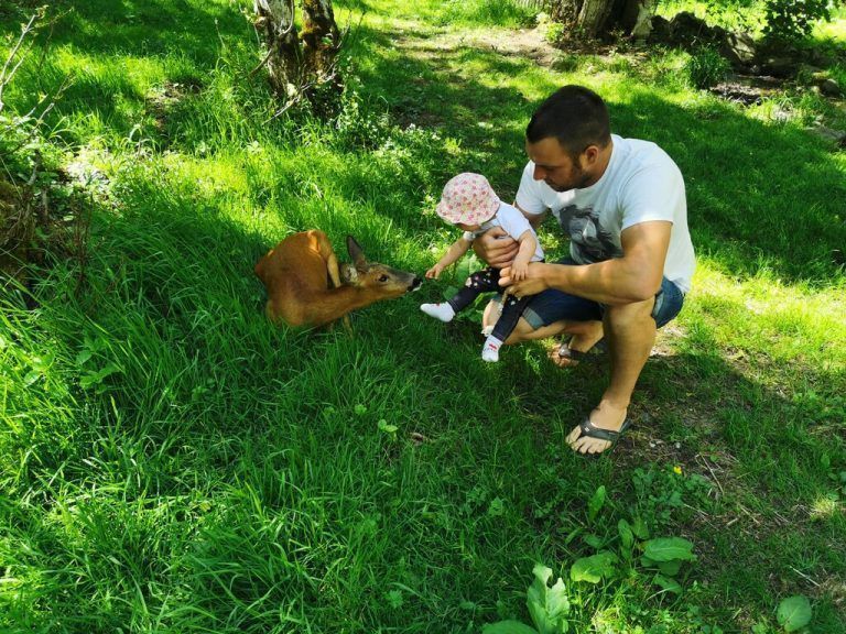 Trauer bei Familie Felder in Gortipohl: Jäger erlegte Tiere in ihrem Gehege. »A8