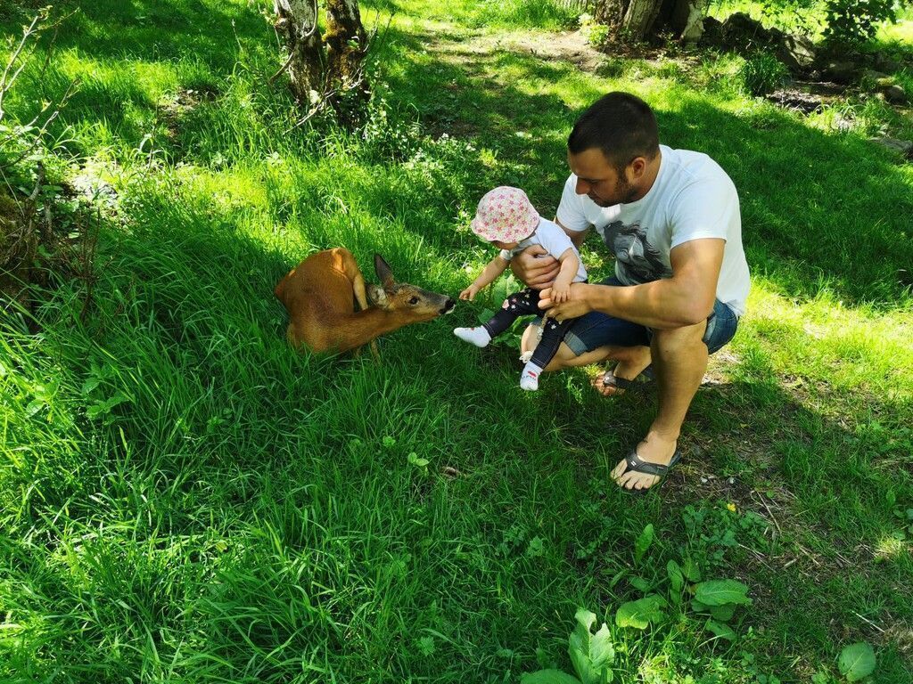 Trauer bei Familie Felder in Gortipohl: Jäger erlegte Tiere in ihrem Gehege. »A8