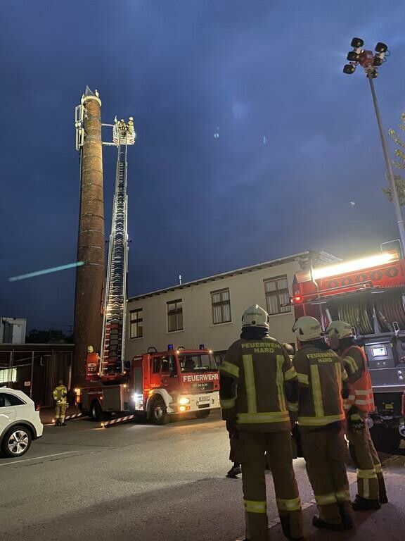 Ein angeblich in einem Netz verfangener Storch flog der Harder Feuerwehr davon. »A10