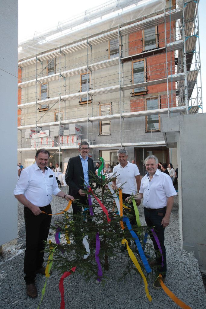 Firstbaum für Quartier im Herrenried