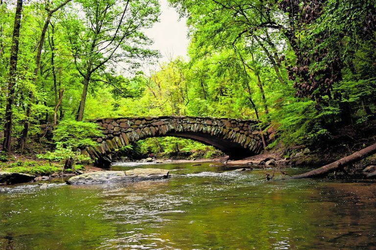 Hier kann man vergessen, dass man sich im Zentrum der Hauptstadt befindet.