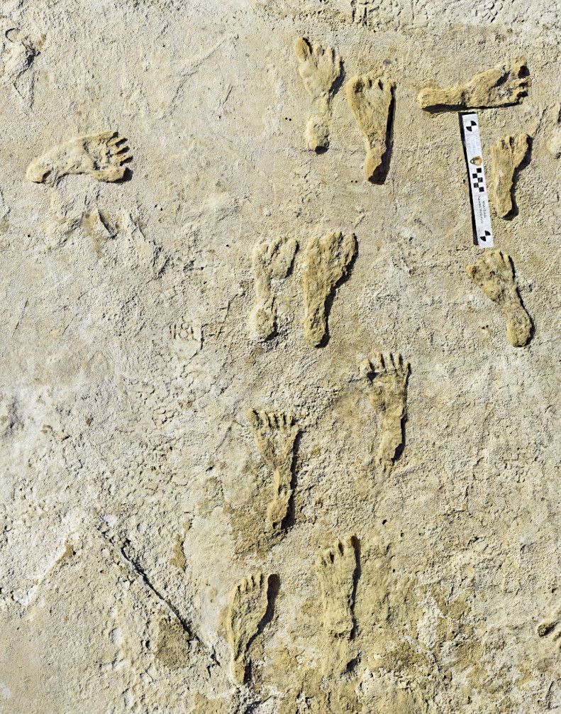 23.000 Jahre alte Fußabdrücke in New Mexico entdeckt