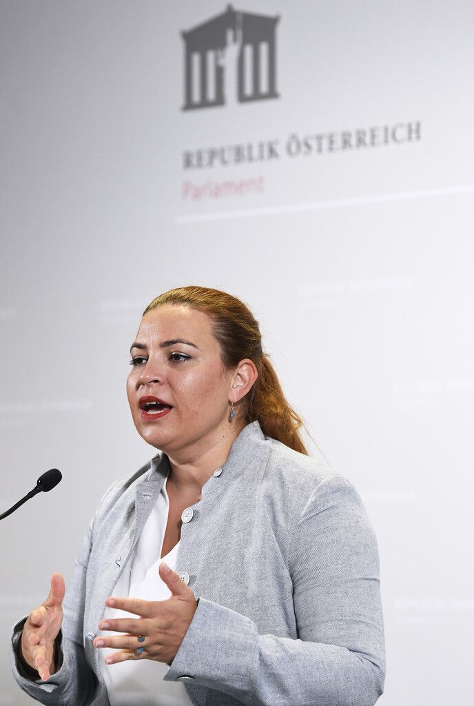Tomaselli spielte den Ball bezüglich eines kommenden U-Ausschusses an die Opposition.APA