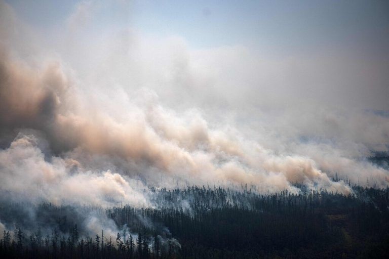 Waldbrände setzen enorme Mengen CO2 frei. In diesem Jahr wurden dadurch Kohlenstoff-Emissionen in Rekordhöhe verursacht. ap