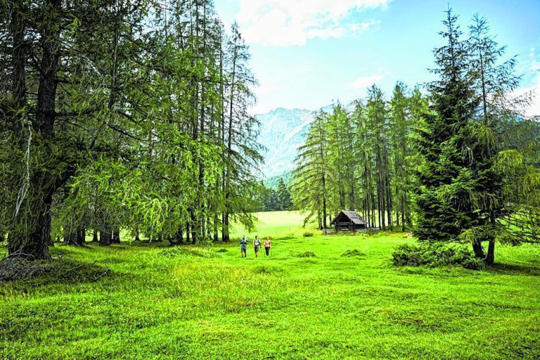 Zum Wandern am Mieminger Plateau gibt es eine eigene Hiking-Fibel.