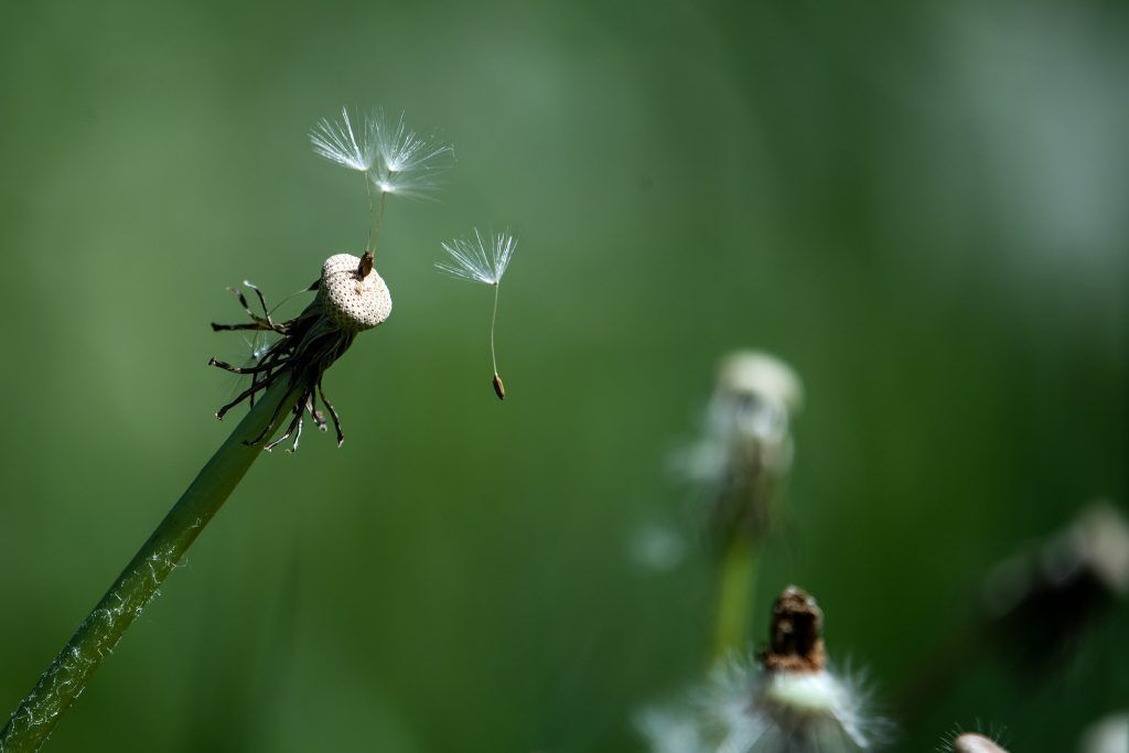 Mir ist gerade …