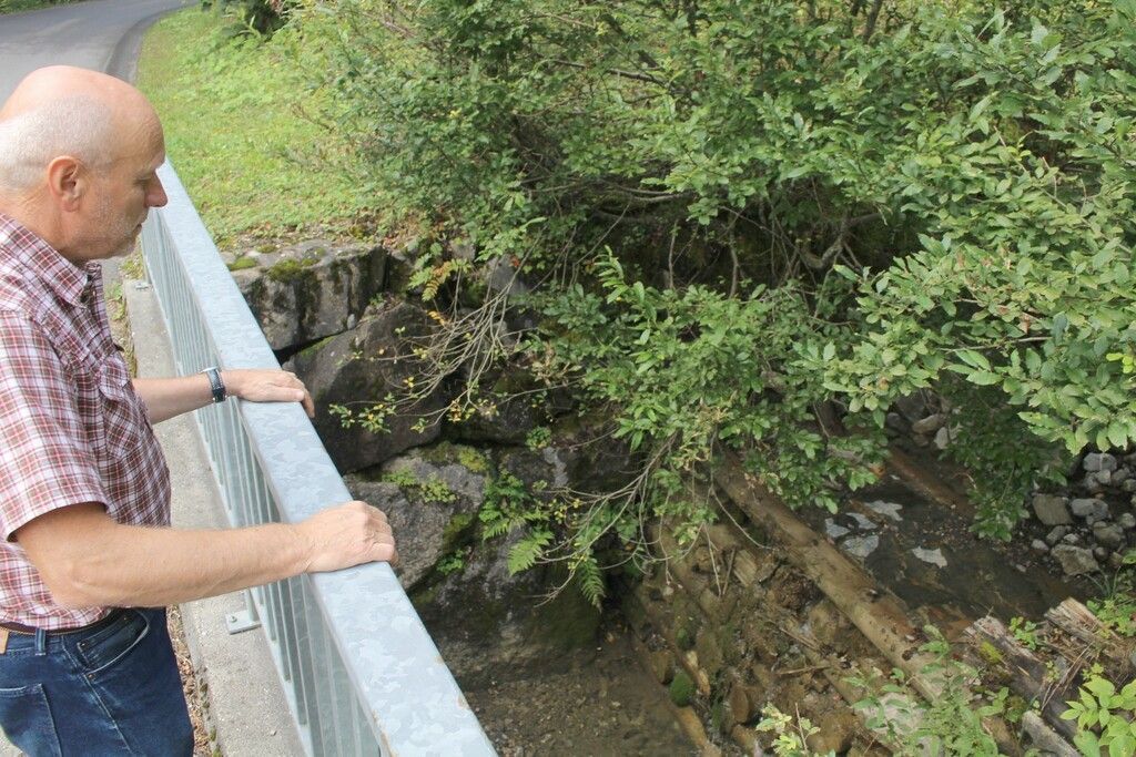 35 Jahre Wildbäche und Lawinen gezähmt