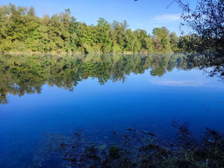 Baggersee Rüttenen. Tamara Brunner