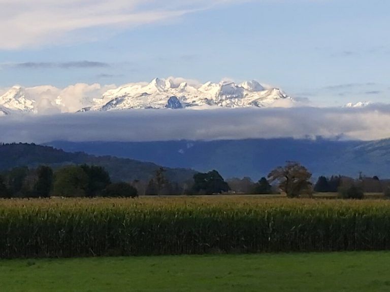 Blick aus Nofels auf die Schweizer BergeElke Rederer