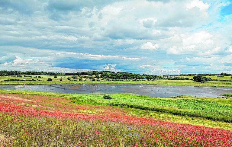 Der Nationalpark Skjoldungernes Land eignet sich hervorragend für Wanderungen.