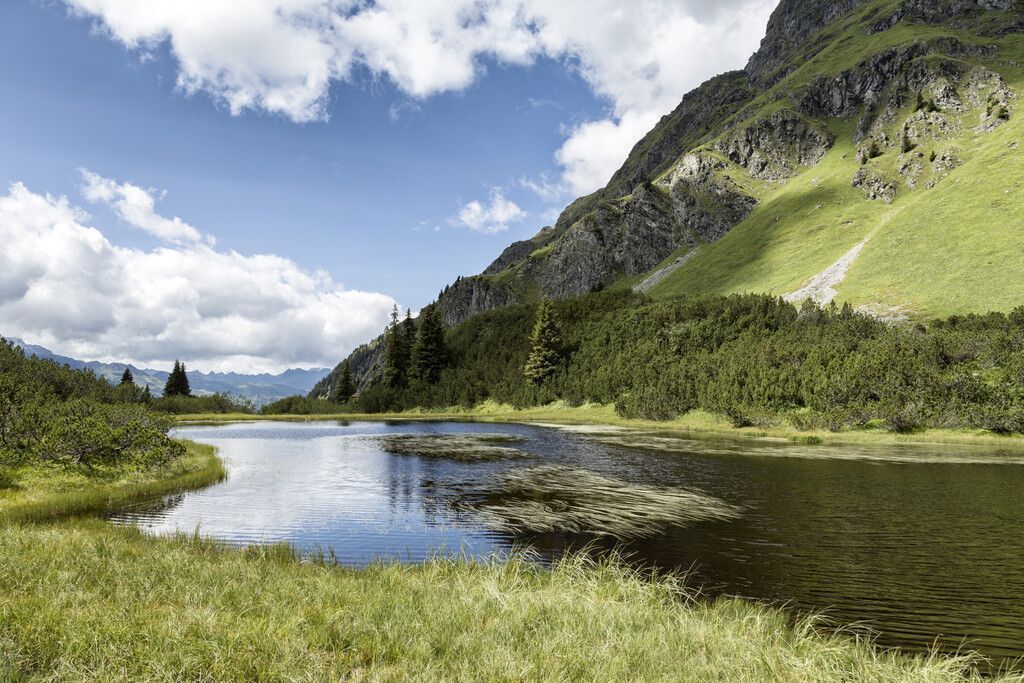 Wiegensee vertritt Vorarlberg