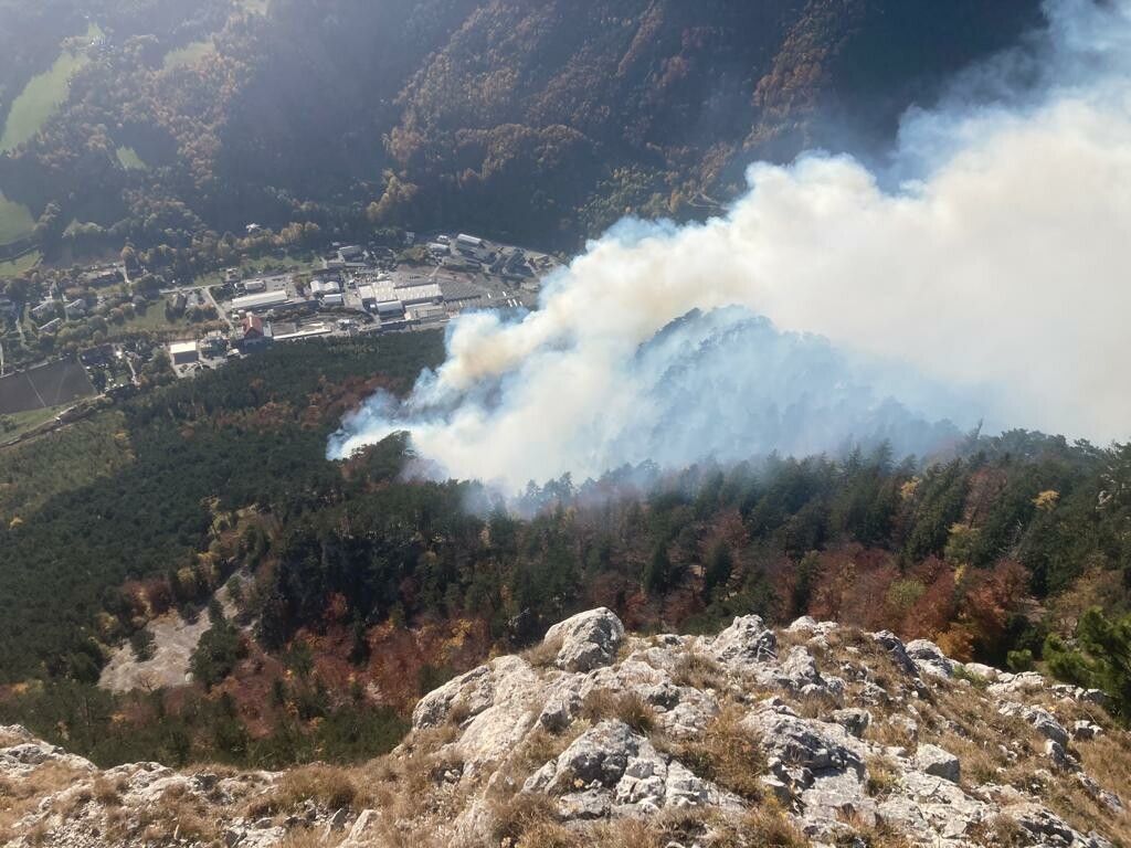 Feuer wütet in Waldgebiet